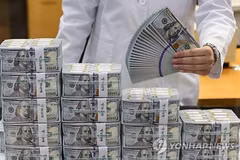 A clerk checks USD banknotes at the headquarters of Hana Bank in Seoul. (Photo: Yonhap)