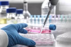 Singapore urges better stem cell bank supervision