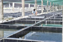 Ho Chi Minh City aims to promote hi-tech use in agriculture cooperatives