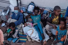 Vietnam calls for efforts to prevent hunger in Ethiopia