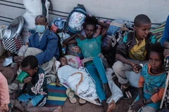 Vietnam calls for efforts to prevent hunger in Ethiopia