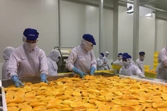 Agro-forestry-aquatic product exports rake in 38.75 billion USD