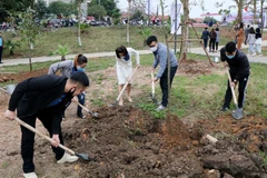Provinces launch tree planting festival to support 1 billion tree programme