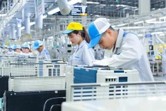 French expert pins high hope on foreign companies’ prospects in Vietnam