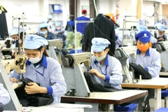 Thanh Hoa businesses strive to boost labour export