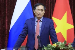FM Bui Thanh Son meets Vietnamese community in Russia