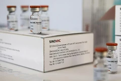 First batch of Sinovac vaccine arrives in Singapore, but it is not approved yet