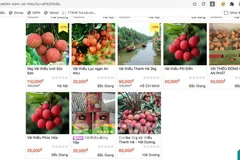 E-commerce platforms to be connected with tax agencies from next year