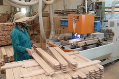 Vietnam’s wood exports expected to hit new record