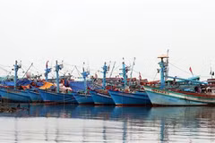 Kien Giang making every effort to fight IUU fishing