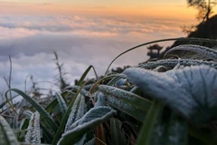 New cold spell to hit northern and central regions 
