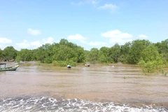 Tra Vinh expands forest coverage