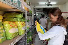 Support to be provided to SMEs in intellectual property