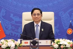 Vietnam pledges more contributions to ASEAN - Japan relations