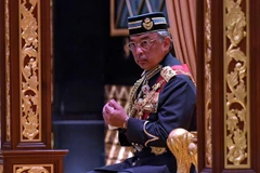 Malaysia's king calls for consensus among political parties 