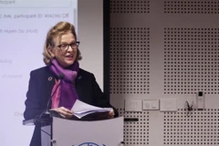 Mine action in Vietnam making progress: UNDP country chief