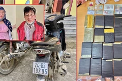 Lao Cai police break large trans-border drug trafficking ring