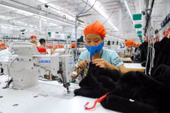 Domestic investment up over 37 percent in Hai Duong