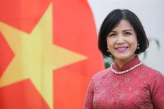 Vietnam supports, congratulates new WTO leader: Ambassador