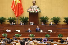 NA discusses investment in new-style rural development