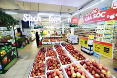 Vietnam’s 2020 retail sales see lowest growth in nine years