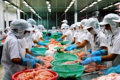 Tra export companies suffer low profits in mainland China, Hong Kong