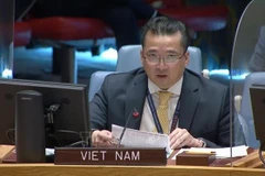 Vietnam calls for political progress towards elections in Libya