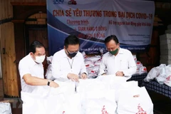 HCM City calls for ideas from OVs to fight COVID-19 