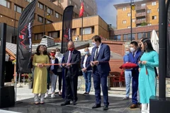 Second Vietnamese festival in France impresses visitors