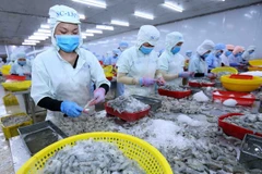 E-commerce platform a boost for Vietnam’s exports to EU