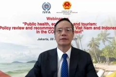 Vietnam, Indonesia look to boost health, economic, tourism cooperation
