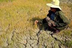Vietnam promotes gender mainstreaming in climate change policies