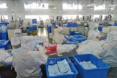 Enterprises in Tien Giang adopt flexible production models to revive production