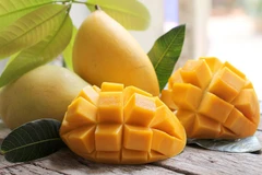 Ministry targets 650 million USD from mango exports by 2030