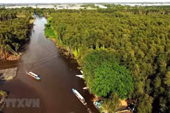 World Environment Day: Vietnam preserving Mekong Delta’s ecosystem