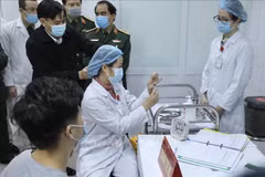 Vietnam completes first phase of Nano Covax human trials