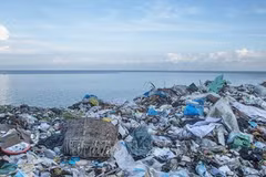 National forum discusses plastic waste management for sustainable fishery development
