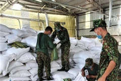 Over 15,300 tonnes of rice to be provided to HCM City, Long An