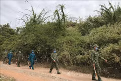 Vietnam intensifying border surveillance to prevent illegal entry, exit: Spokesperson