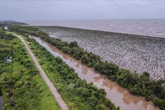Mekong Delta Resilient Business Network debuts