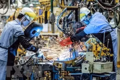 European firms optimistic about Vietnam's business environment after social distancing
