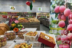Vietnam’s farm produce exports to Australia surge