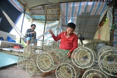 Ca Mau wants to reduce poverty rate by 0.3 percentage points this year