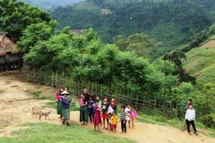 ADB helps Vietnam improve climate resilience of infrastructure for ethnic minorities