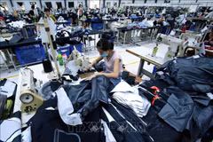 Vietnam removed from list of beneficiaries of EAEU tariff preferences under GSP