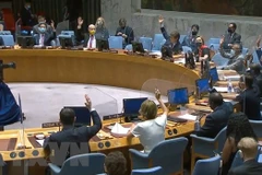 Vietnam calls for ending hostile actions in Yemen