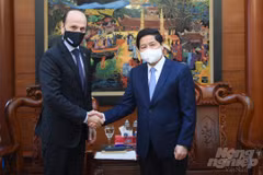 Argentina interested in Vietnamese tropical fruits: ambassador