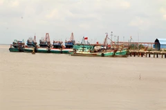 Ben Tre invests in building ports, storm shelters for fishing vessels