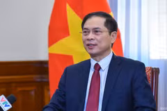 Minister hails significance of Conclusion on OV affairs