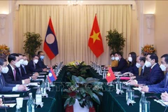 Vietnamese, Lao foreign ministers co-chair 8th political consultation 